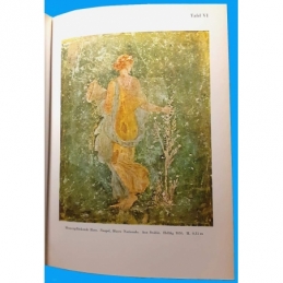 Die Wandmalerei Pompejis. Eine Einführung in ihr Verständnis. Tafel VI
