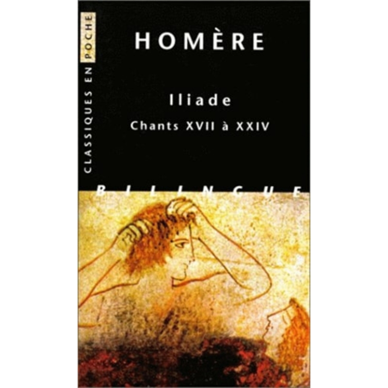 Iliade. Chants XVII à XXIV