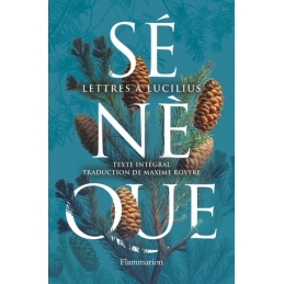 Lettres à Lucilius. Nouvelle traduction intégrale en français moderne
