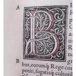 Pauli Aemylii Veronensis, historici clarissimi, De rebus gestis francorum...