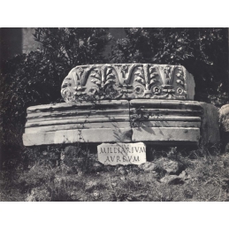 Dans les pas des Césars