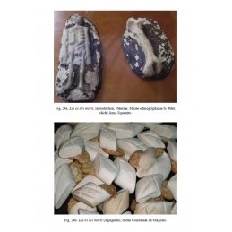 Les fluides d'Aristote. Lait, sang et sperme dans l'Italie du Sud