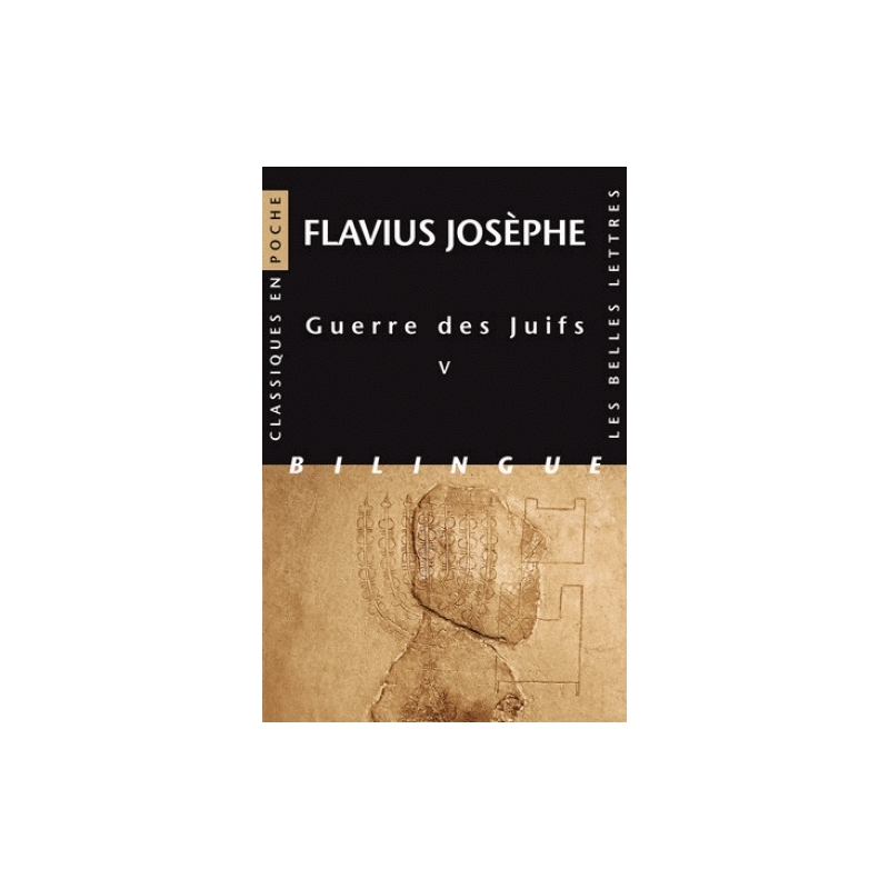 Guerre des Juifs, Livre V