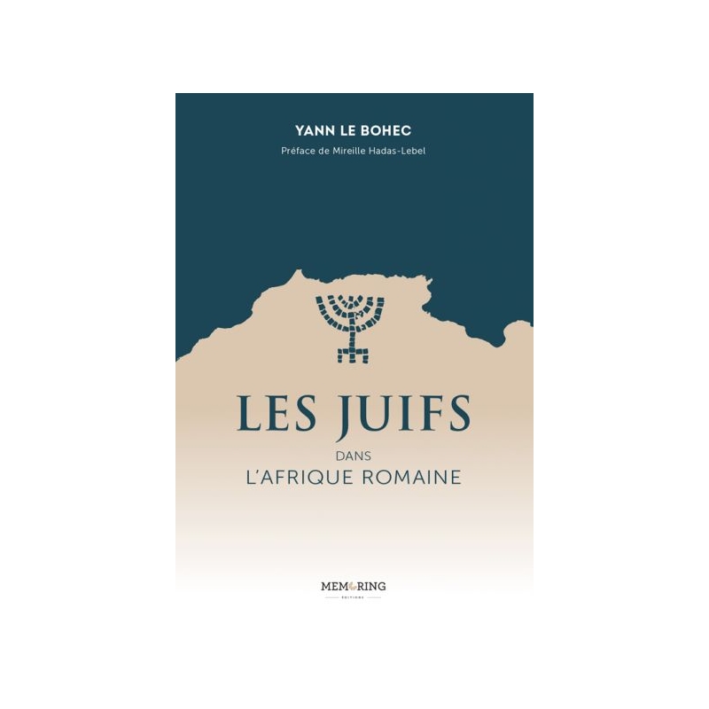 Les Juifs dans l'Afrique romaine.  Art et patrimoine, Histoire économique