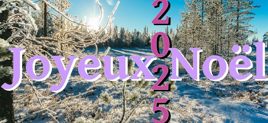 Joyeux Noêl !